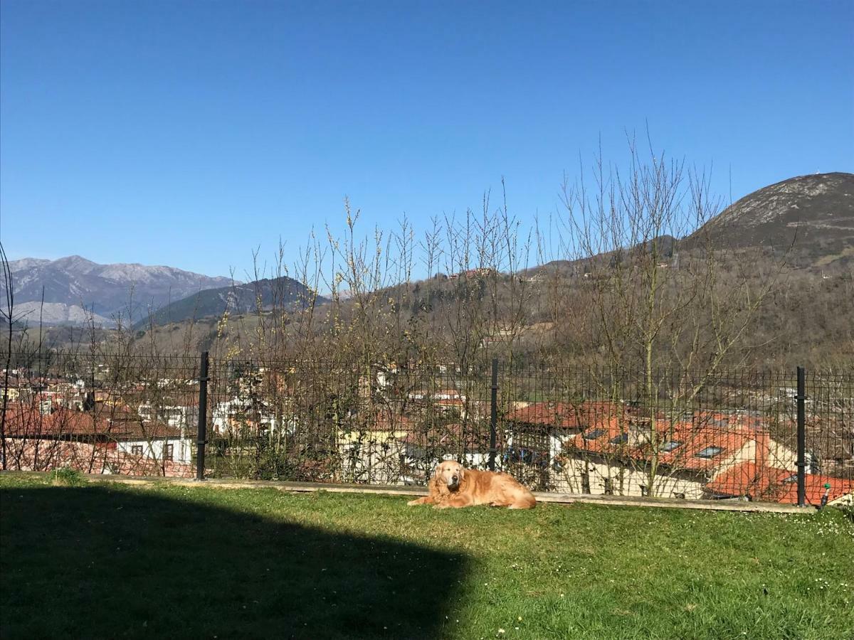 Apartamento Cangas Relax Onís Buitenkant foto